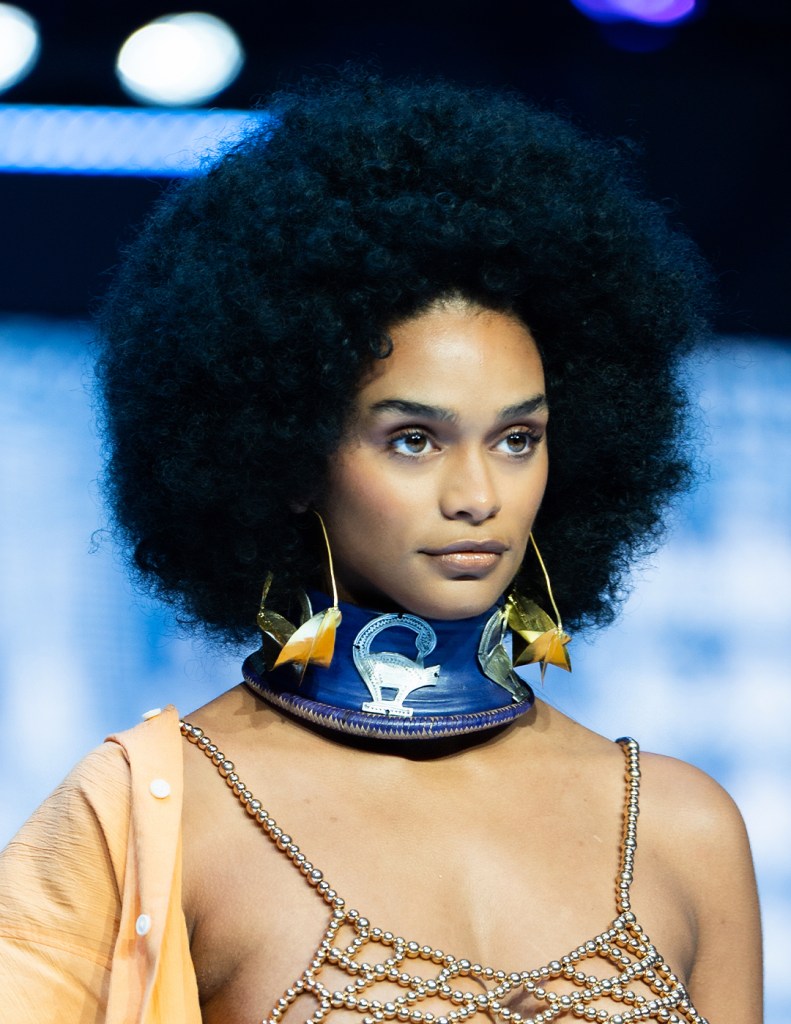 54th NAACP Image Awards Reception & Fashion Show - February 23, 2023